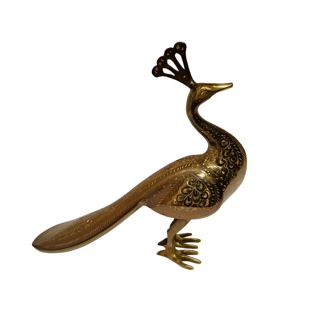 Feathers of Glory: Peacock's Pride